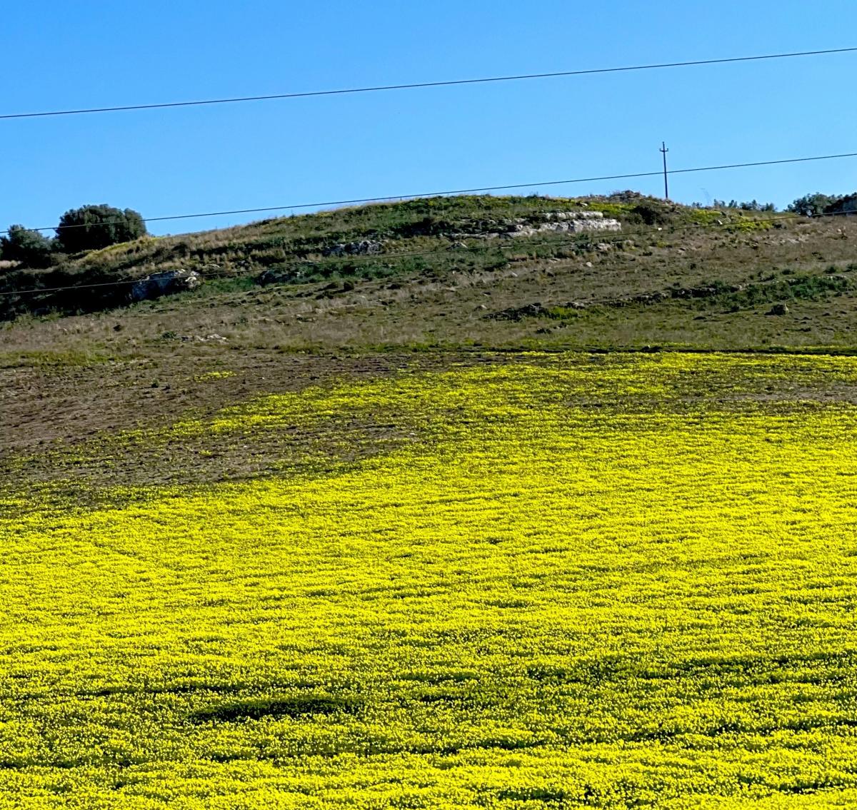 Green Hill in Catania, Sicily