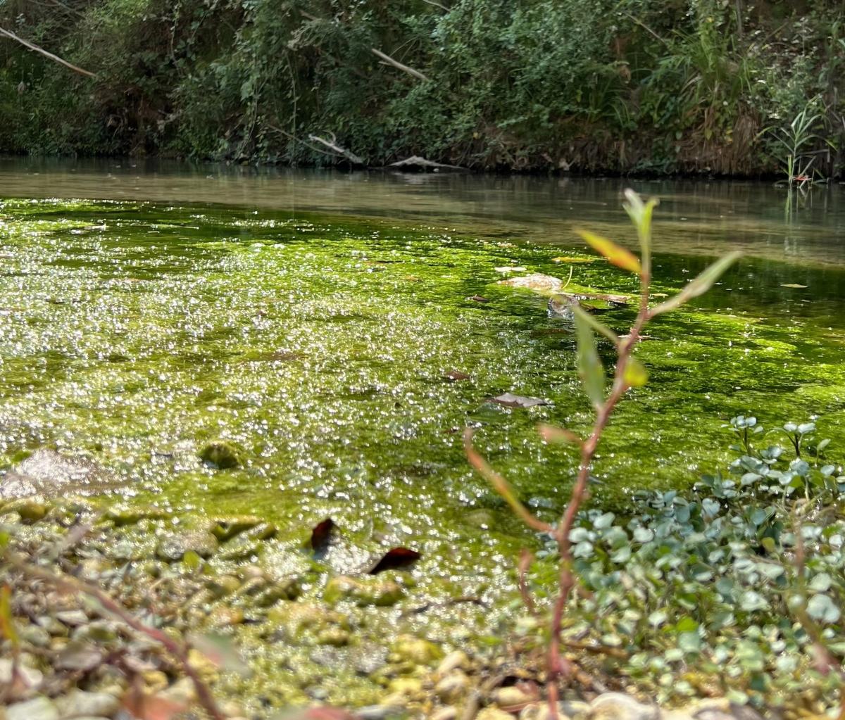 Musky Lake in Pantalica, a nature reserve in Sortino, Sicily